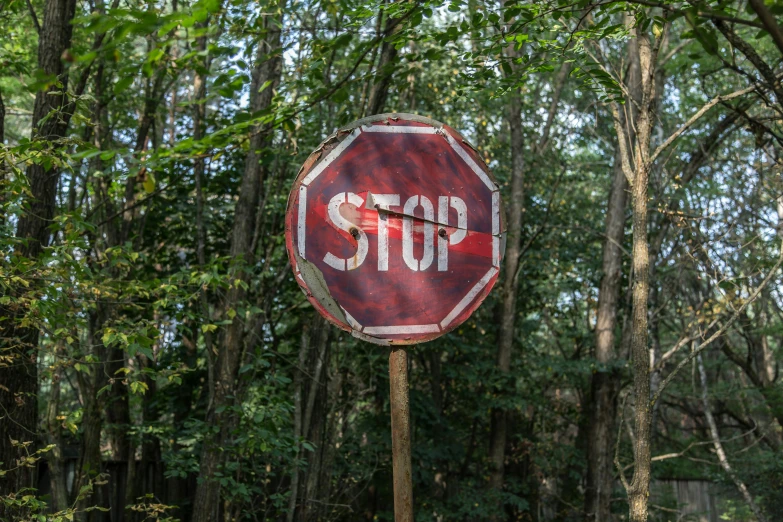 a red stop sign sitting in the middle of a forest, by Raphaël Collin, unsplash, graffiti, 🦩🪐🐞👩🏻🦳, 1 9 7 0 s photo, brown, gray
