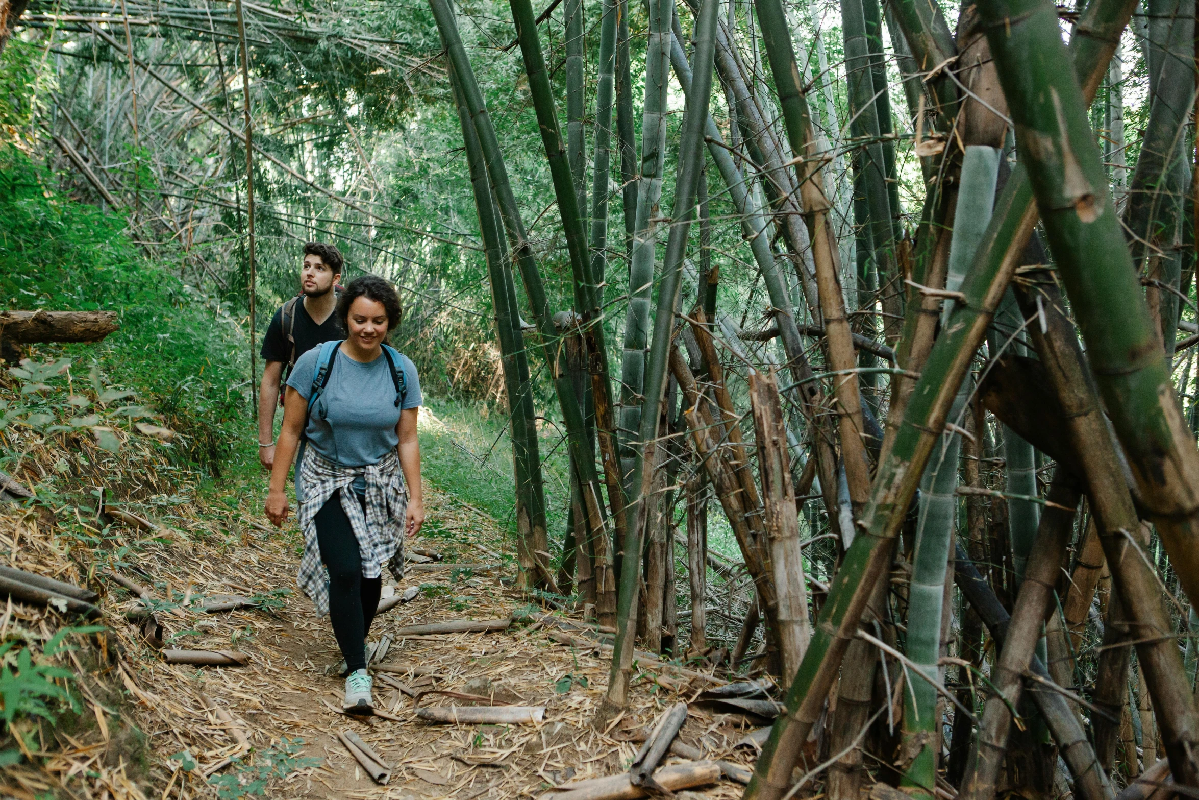 a couple of people that are walking in the woods, unsplash, sumatraism, avatar image, bamboo, puerto rico, wearing adventuring gear