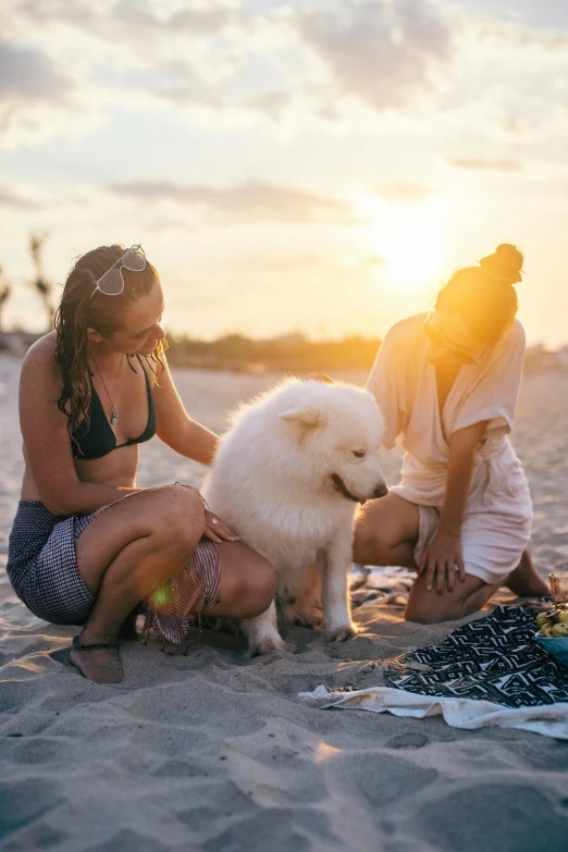 a group of people sitting on top of a sandy beach, dog, during a sunset, profile image, lesbian