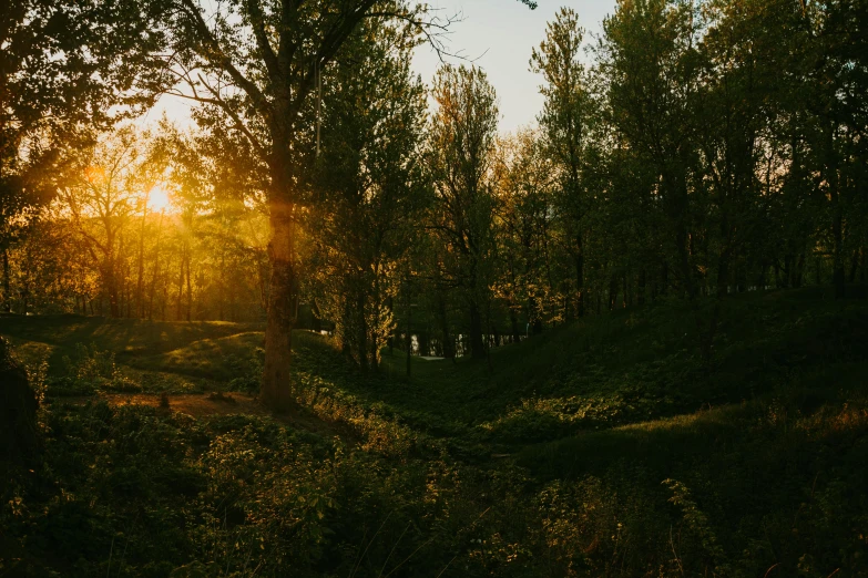 the sun is shining through the trees in the woods, a picture, by Attila Meszlenyi, unsplash contest winner, summer evening, parks and lakes, nice spring afternoon lighting, sunset in a valley