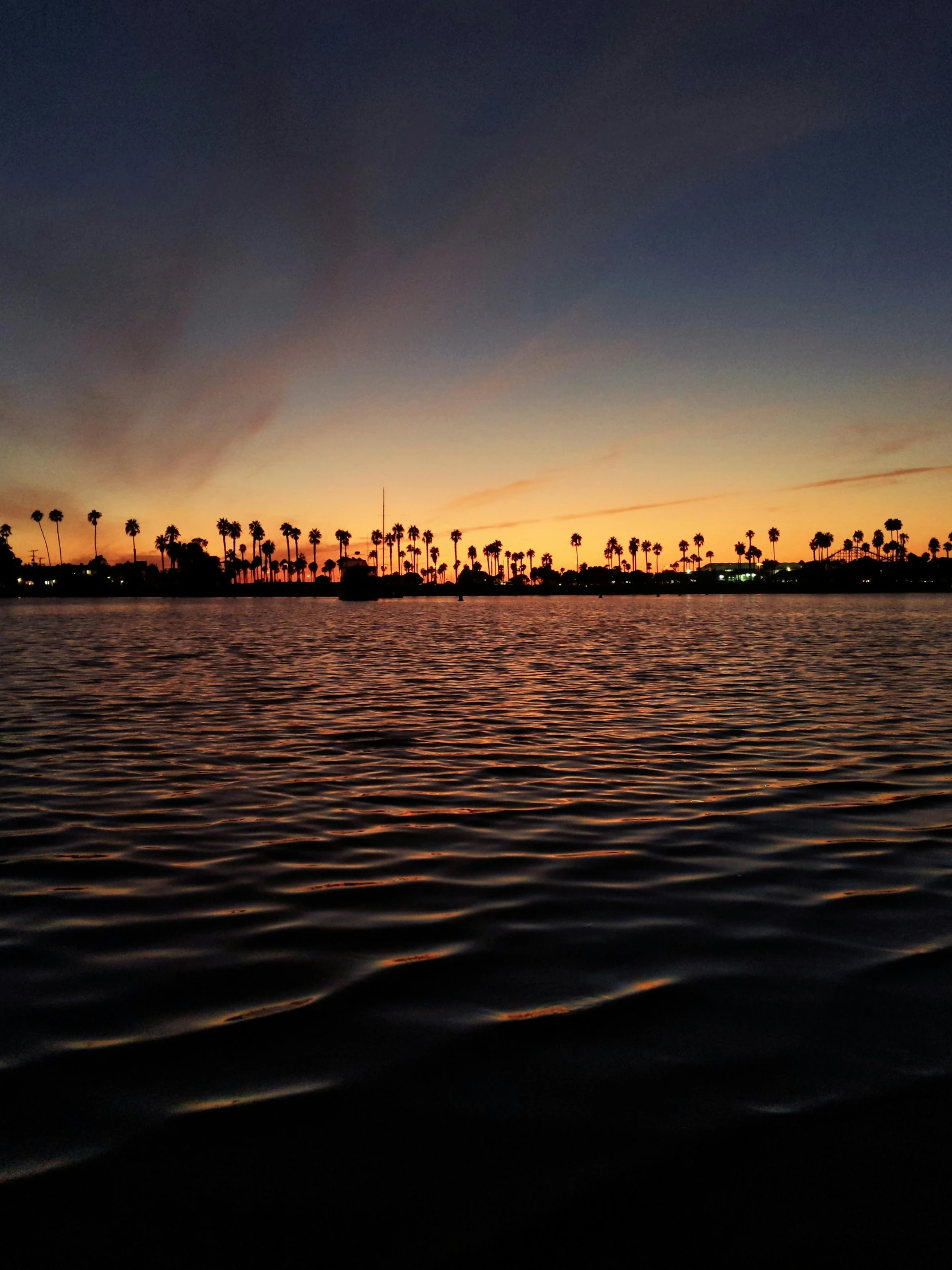 a sunset over a body of water with palm trees in the background, a picture, happening, in the middle of a lake, harbor, long beach background, gopro photo