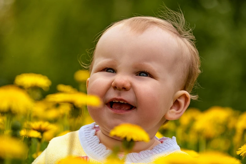 a close up of a child in a field of flowers, a picture, by Jan Rustem, pixabay contest winner, grinning, yellow, toddler, scientific photo