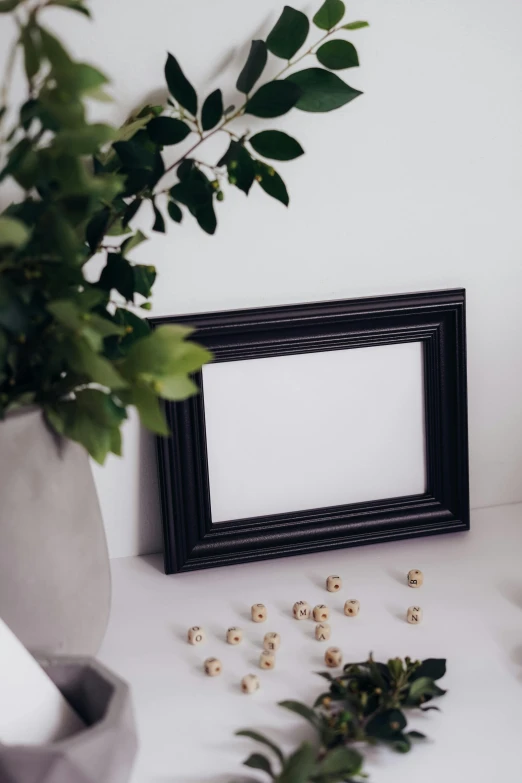 a picture frame sitting on top of a table next to a plant, by Julia Pishtar, flying black marble balls, low quality photo, holiday, multiple stories