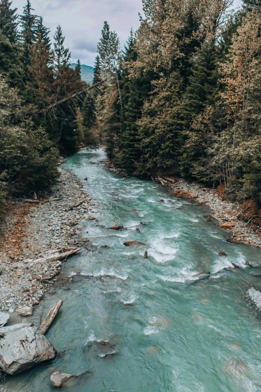 a river running through a forest filled with trees, by Tobias Stimmer, unsplash contest winner, hurufiyya, 2 5 6 x 2 5 6 pixels, glaciers, teal color graded, low quality photo