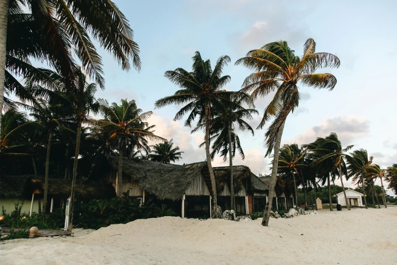 a group of palm trees sitting on top of a sandy beach, a photo, by Emma Andijewska, beachfront mansion, mayan style, thumbnail, a cozy