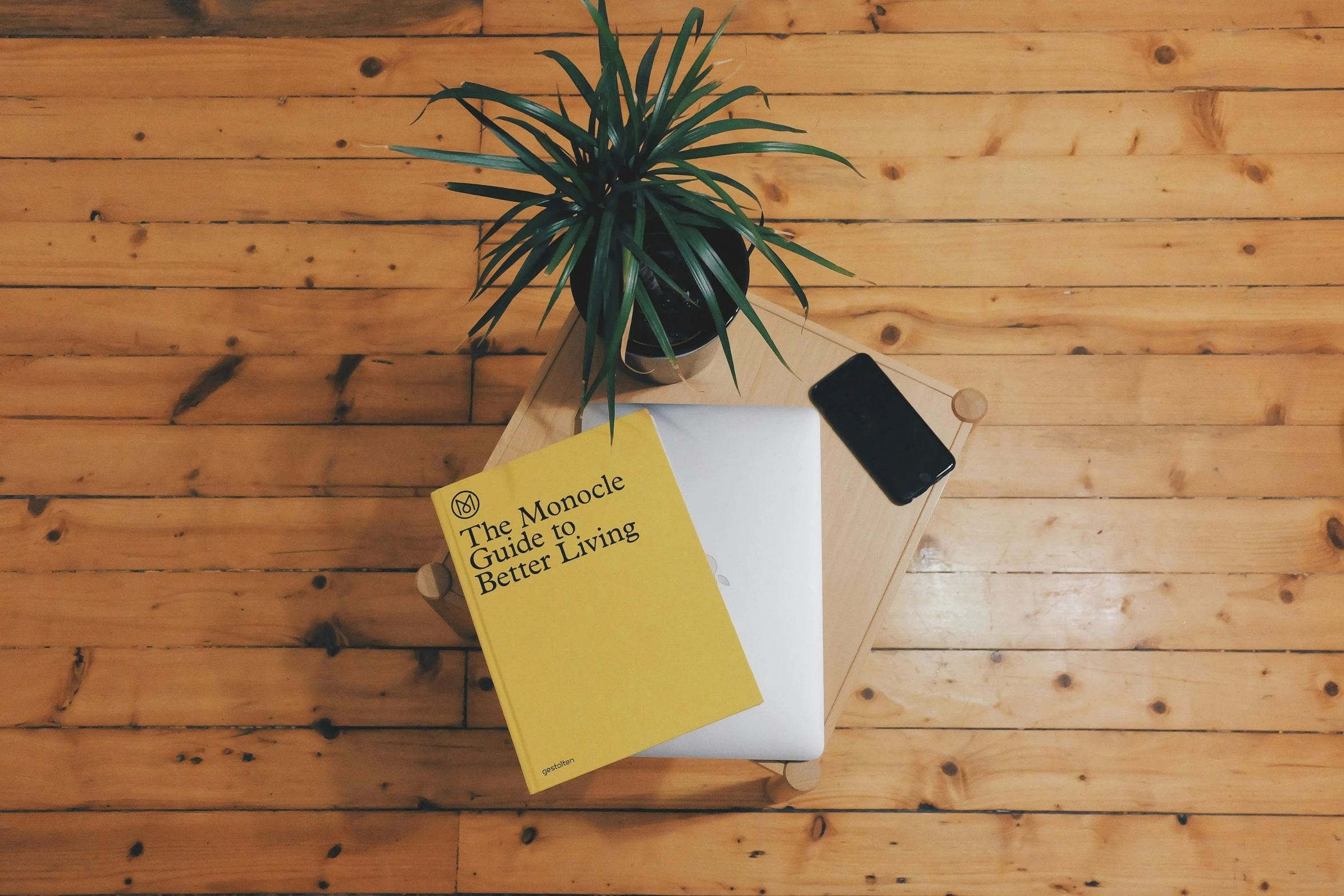 a book sitting on top of a table next to a plant, trending on unsplash, on a yellow paper, using a macbook, 2 5 6 x 2 5 6 pixels, on a wooden table