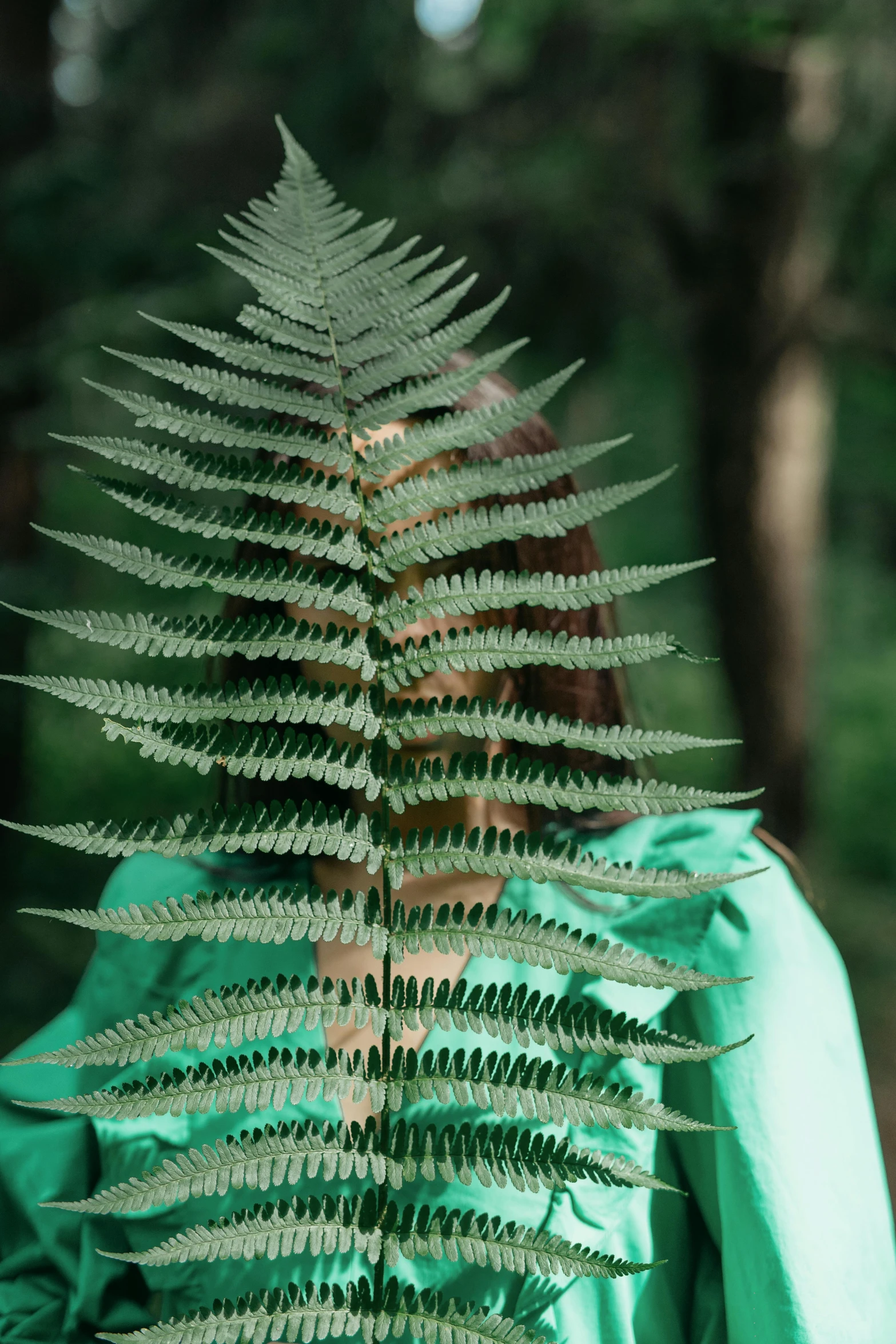 a woman holding a fern leaf in front of her face, pexels contest winner, conceptual art, huge spines, standing with her back to us, looking across the shoulder, low quality photo