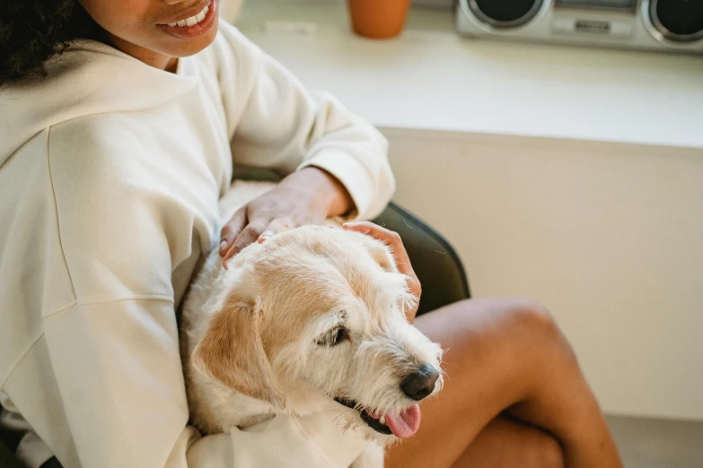 a woman sitting in a chair holding a dog, trending on pexels, wearing a white sweater, manuka, thumbnail, brown