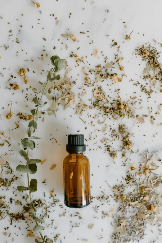 a bottle of essential oil surrounded by dried herbs, by Jessie Algie, trending on unsplash, process art, thumbnail, profile image, manuka, low quality photo