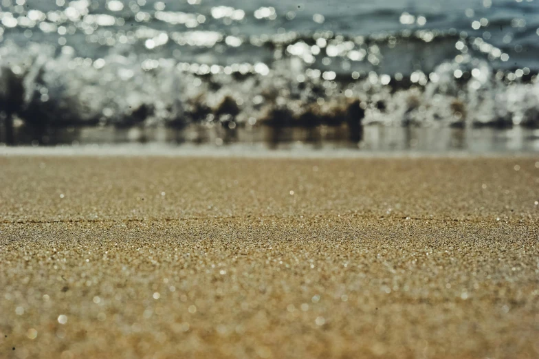 a small bird standing on top of a sandy beach, unsplash, minimalism, wave of water particles, sparkly, australian beach, laying on a beach