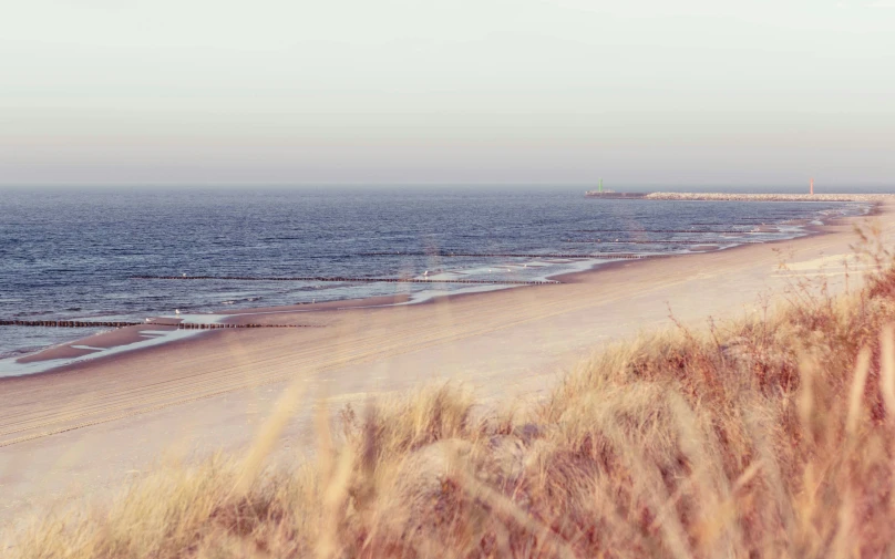 a man standing on top of a sandy beach next to the ocean, a tilt shift photo, by Eglon van der Neer, unsplash, pale pink grass, panorama, retro stylised, where a large