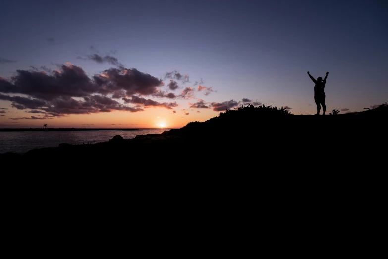 a person standing on a hill with their arms in the air, by Jesper Knudsen, unsplash, happening, silhouette over sunset, on an island, mary anning, shot on sony a 7 iii