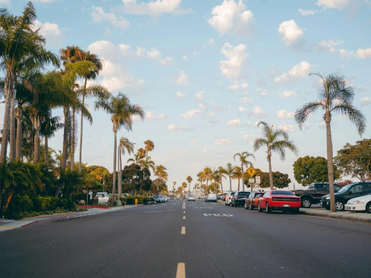 a street lined with parked cars and palm trees, pexels contest winner, california coast, background image, paved roads, 🚿🗝📝