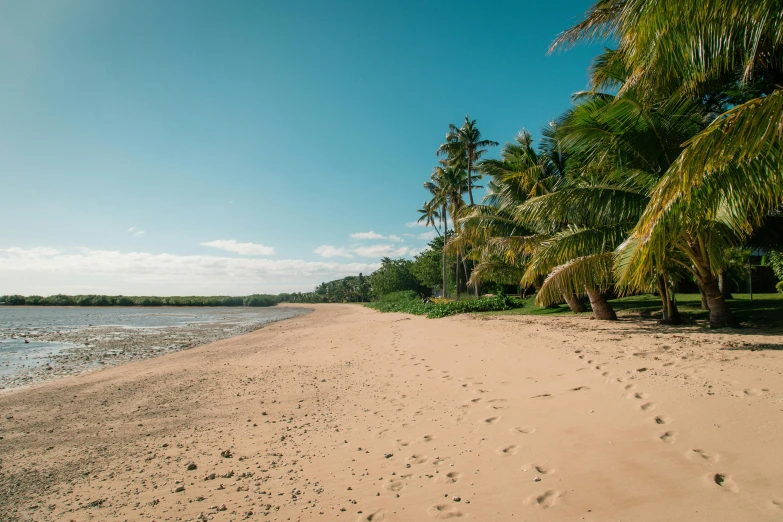 a sandy beach with palm trees and a body of water, sarenrae, footprints in the sand, moana, lush surroundings