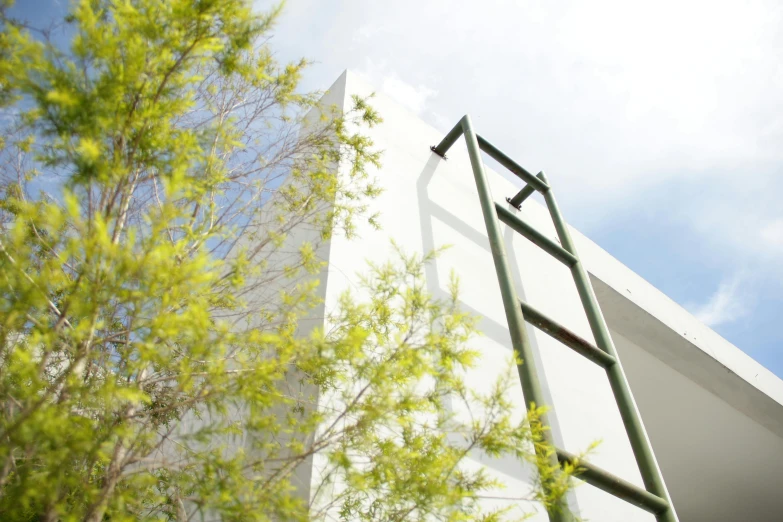 a tall white building sitting next to a tree, a picture, inspired by Rodolfo Escalera, unsplash, bauhaus, ladder, a green, close up shot from the side, square lines