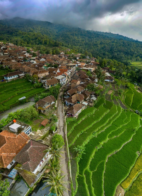 a village in the middle of a rice field, pexels contest winner, square, calmly conversing 8k, cliffside town, full frame image