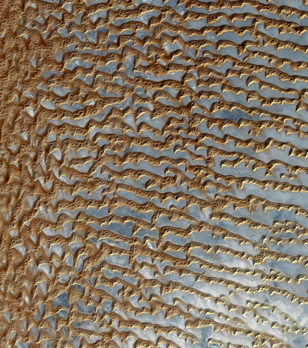 a close up of a plate with writing on it, a microscopic photo, flickr, golden curve structure, sahara, patterned, taken from orbit