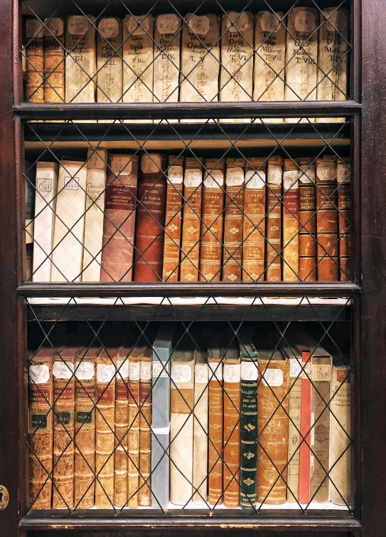 a book shelf filled with lots of books, by Adriaen Hanneman, trending on unsplash, renaissance, wearing brown robes, 1792, morning detail, high quality photo