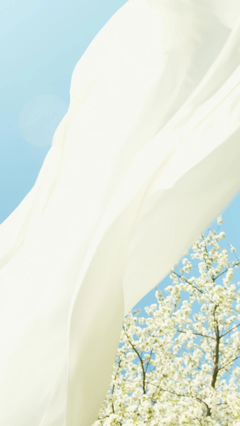 a white cloth blowing in the wind next to a tree, inspired by Georgia O’Keeffe, unsplash, sky blue, almond blossom, detail shot, luminescent fabrics