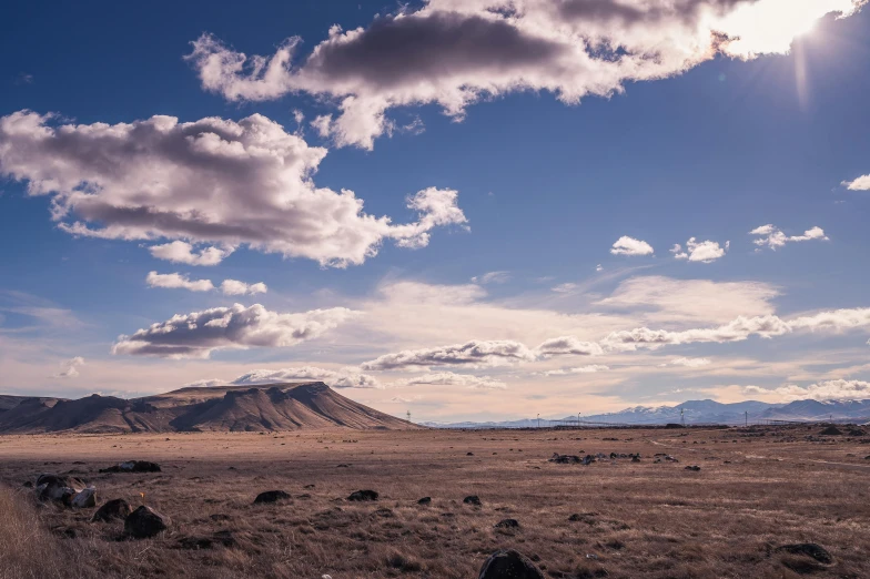 a herd of cattle grazing on top of a dry grass covered field, a matte painting, unsplash, land art, photo of shiprock, giant clouds, distant mountains lights photo