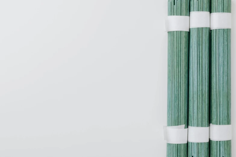 a pair of chopsticks sitting next to each other, a minimalist painting, by Carey Morris, unsplash, postminimalism, seafoam green, thick wires, clear detailed view, made of bamboo