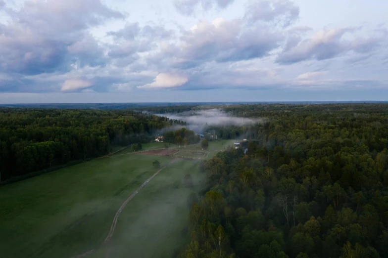 a foggy field in the middle of a forest, a picture, unsplash contest winner, hurufiyya, golf course, clouds swirling, drone photograpghy, late evening