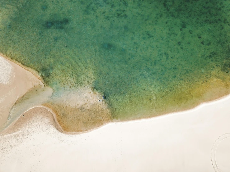 a large body of water next to a sandy beach, a tilt shift photo, unsplash contest winner, minimalism, birdseye view, manly, underwater soft colours, shades of green