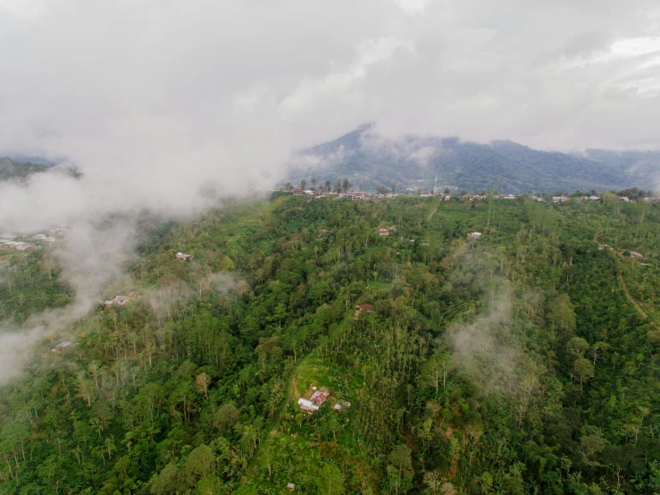 an aerial view of a village in the mountains, sumatraism, misty clouds, background image, julia fuentes, carson ellis