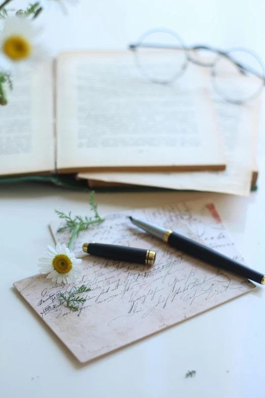 a pen sitting on top of an open book, a still life, by Jessie Algie, unsplash, romanticism, on a botanical herbarium paper, miniature cosmos, with some hand written letters, side profile shot