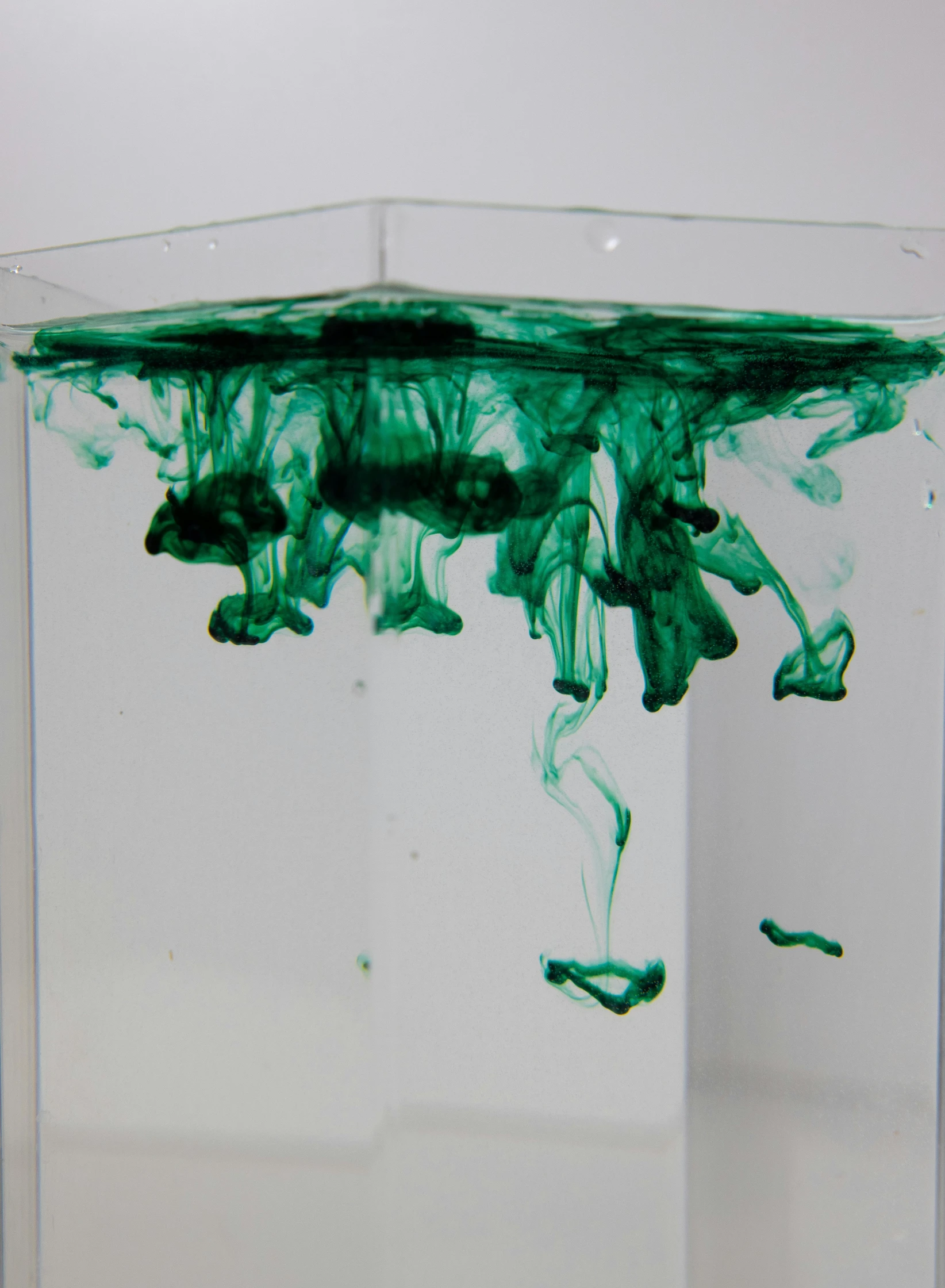 a glass filled with green liquid sitting on top of a table, a microscopic photo, inspired by Hu Zao, conceptual art, made of ferrofluid, sublittoral jellyfish schools, emily rajtkowski, exploding powder