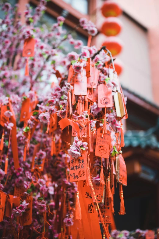 a bunch of red tags hanging from a tree, inspired by Cui Bai, pexels contest winner, pink orange flowers, china town blade runner, shrines, padlocks