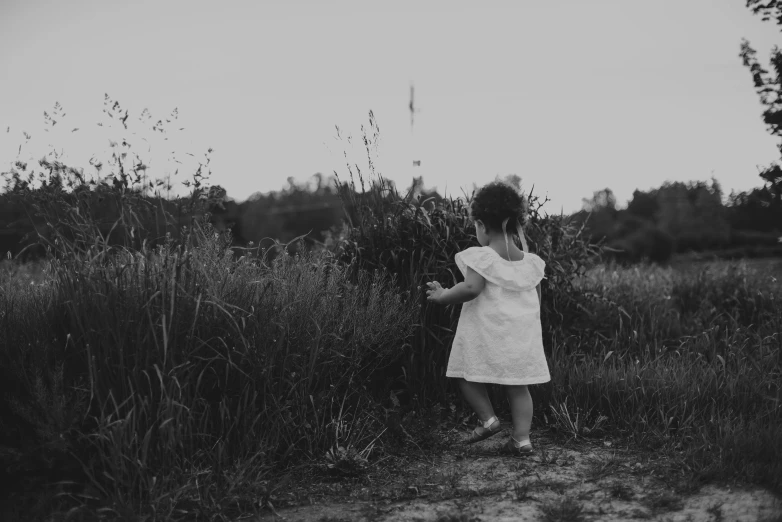 a little girl standing in a field of tall grass, a black and white photo, pexels, toddler, white clothes, walking into a deep dark florest, with soft bushes