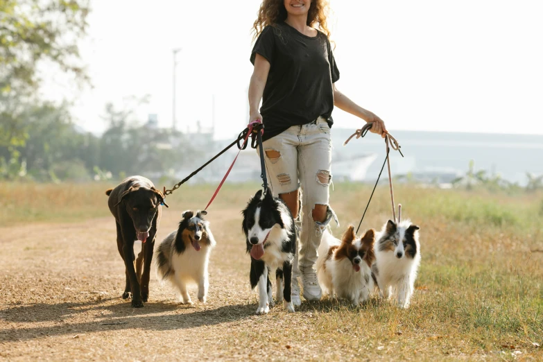 a woman walking her dogs on a dirt road, a portrait, shutterstock, a messy, breeding, at the park, ad image