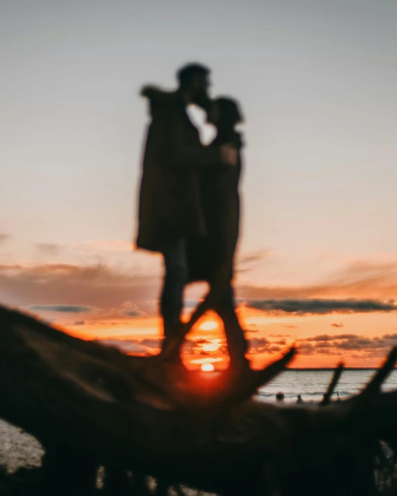a couple standing on top of a tree at sunset, pexels contest winner, lgbt, zoomed out, on beach, romantic lead