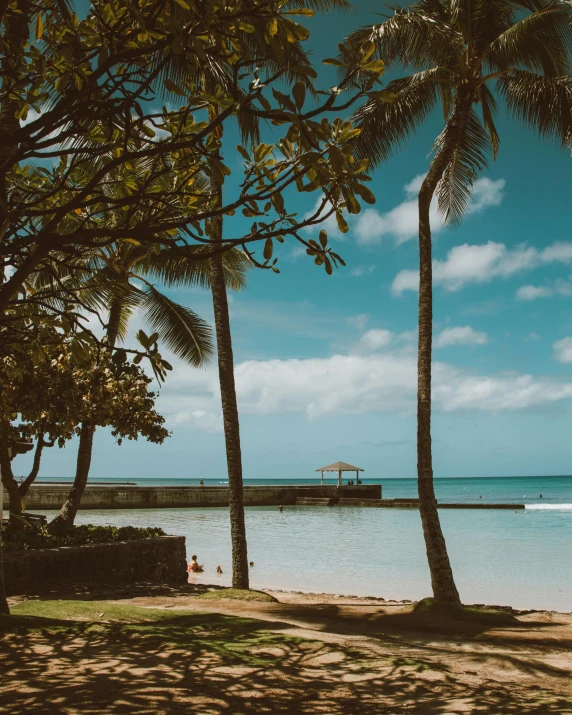 a couple of palm trees sitting on top of a sandy beach, body of water, a park, posing in waikiki, instagram post