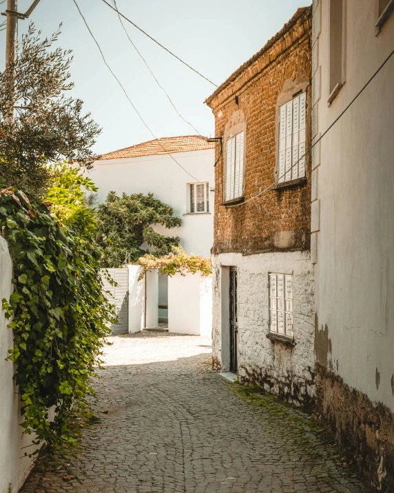 a narrow cobblestone street in an old town, pexels contest winner, white building, summer street near a beach, profile image, overgrown with lush vines