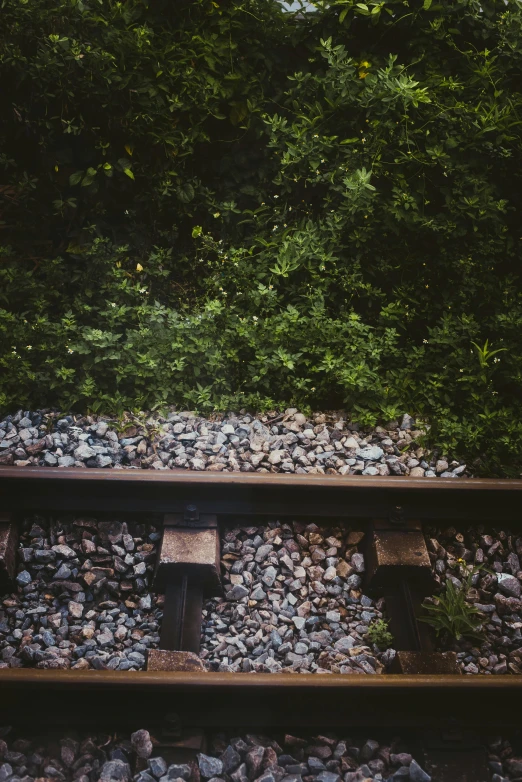 a train track surrounded by rocks and trees, inspired by Elsa Bleda, unsplash, realism, vsco film grain, benches, ivy vines, a wooden