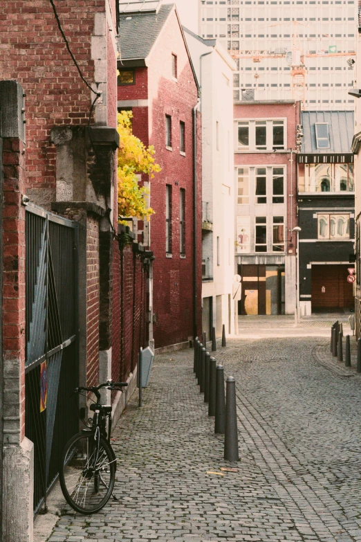 a bicycle is parked on a cobblestone street, pexels contest winner, renaissance, muted fall colors, liege, red building, view from behind