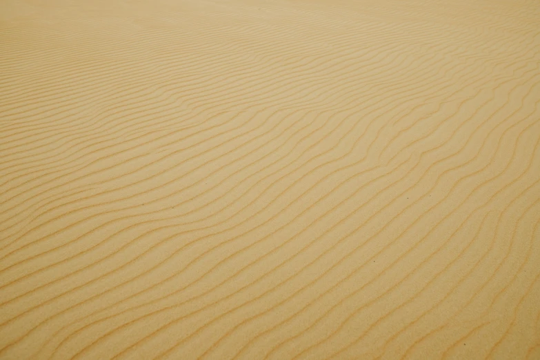 a person riding a horse in the desert, by Andries Stock, unsplash, op art, texture of sand, nazare (portugal), detail texture, yellow ochre