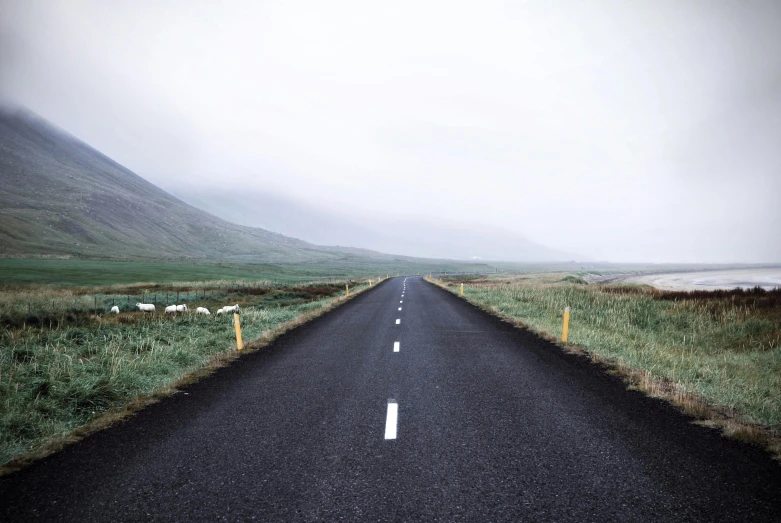 an empty road with sheep grazing on the side of it, by Carey Morris, unsplash, under a gray foggy sky, 🚿🗝📝, runway, looking into the horizon