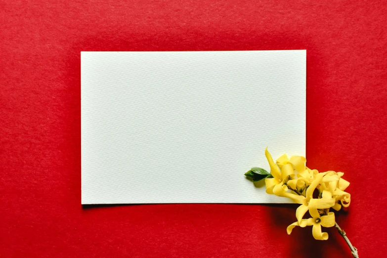 a white card with yellow flowers on a red background, by Carey Morris, pexels contest winner, postminimalism, blank paper, parchment, exterior shot, screensaver