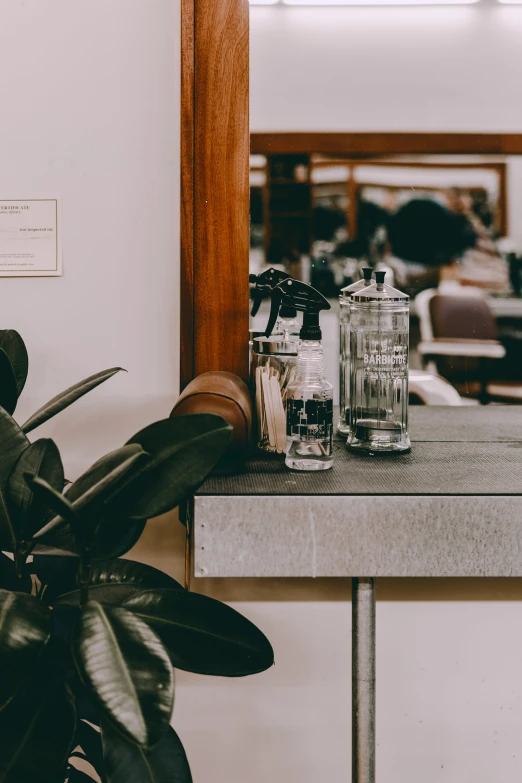 a mirror sitting on top of a counter next to a plant, by Carey Morris, trending on unsplash, diverse haircuts, thumbnail, vases and bottles, historical photo