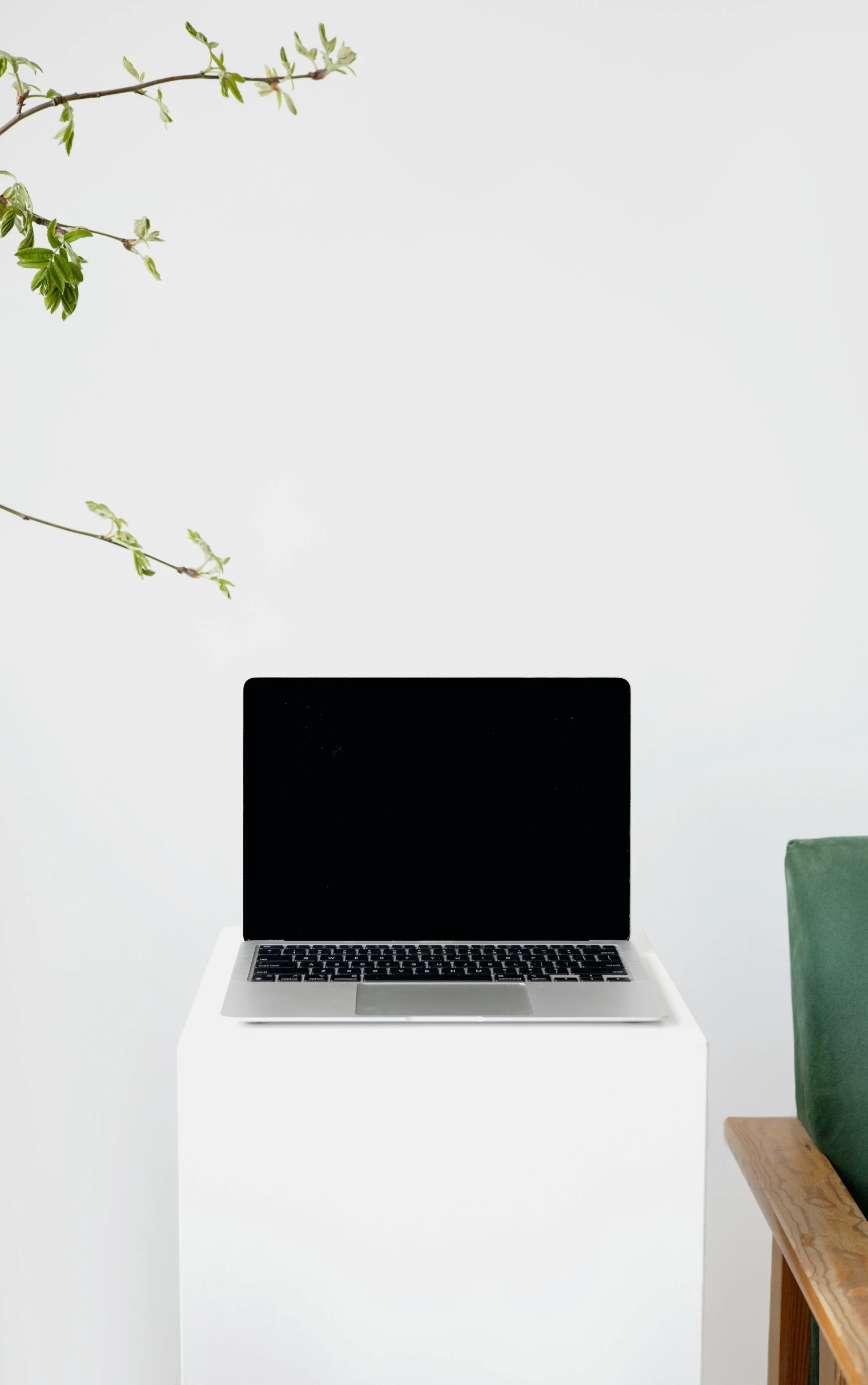 a laptop computer sitting on top of a white table, a computer rendering, unsplash, dwell, greenery, white box, front