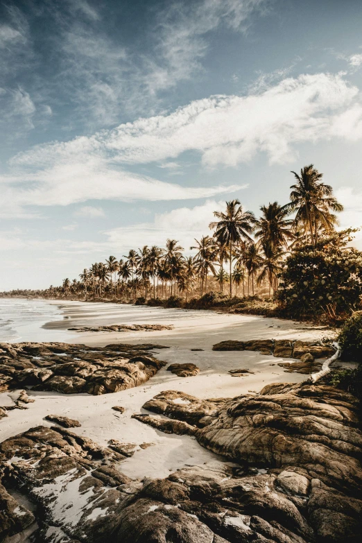 a beach with rocks and palm trees on a sunny day, by Lucas Vorsterman, pexels contest winner, amazon rainforest background, golden hues, slide show, multiple stories