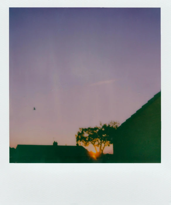 a photo of a sunset with a tree in the foreground, a polaroid photo, by Andrew Bell, postminimalism, shot from roofline, clear sky, low quality photo, an intruder