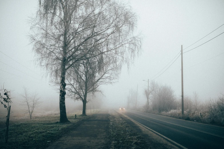 a car driving down the road on a foggy day, inspired by Elsa Bleda, pexels contest winner, romanticism, sparse bare trees, walking through a suburb, grey, alexey gurylev