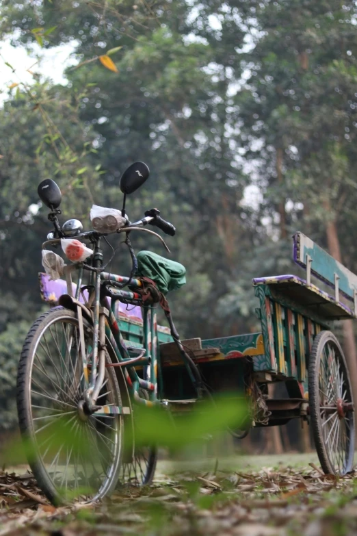 a bicycle that is parked next to a cart, bengal school of art, lush forests, zoomed out view, touring