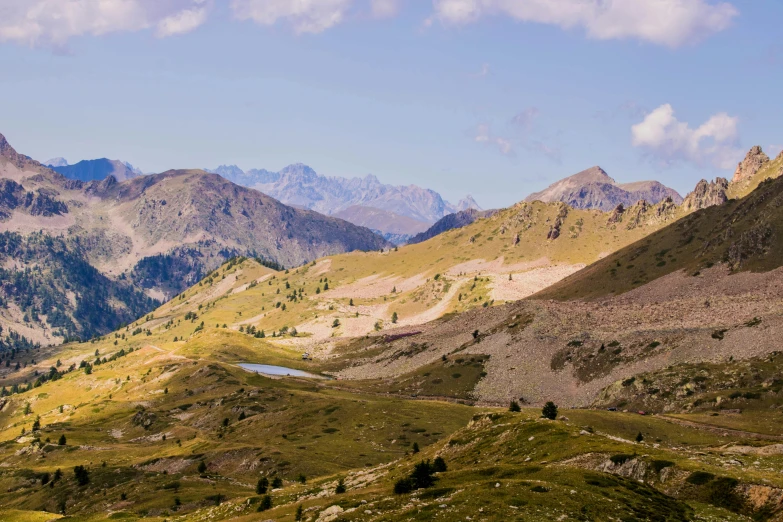 a herd of cattle grazing on top of a lush green hillside, by Cedric Peyravernay, pexels contest winner, les nabis, distant rocky mountains, panoramic view, cypresses, high quality image”