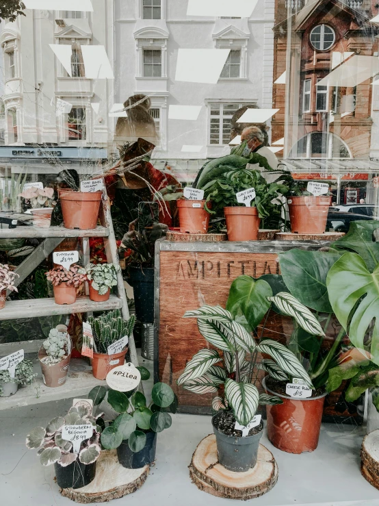 a store window filled with lots of potted plants, by Emma Andijewska, trending on unsplash, low quality photo, in london, profile image, brown