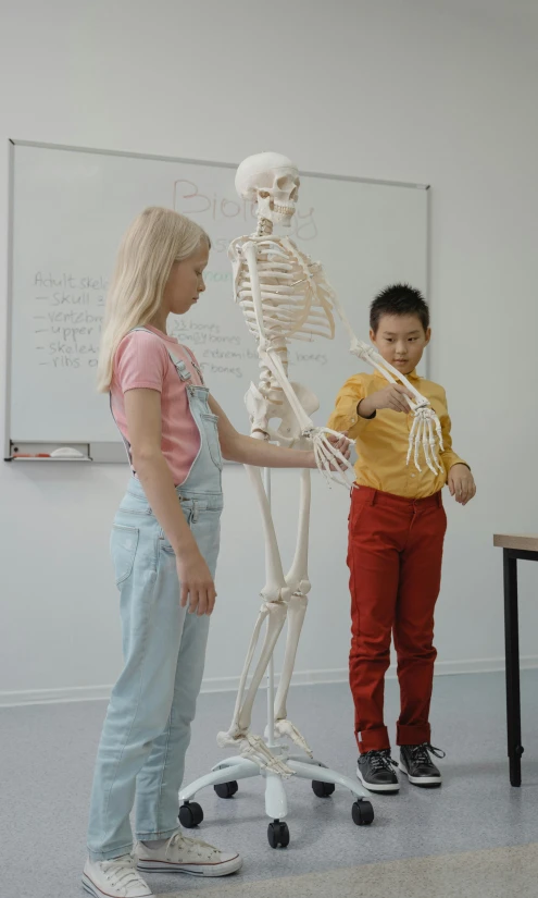 a couple of kids that are standing in front of a skeleton, inspired by Sarah Lucas, pexels contest winner, danube school, teaching, still from a movie, taejune kim, standing in class